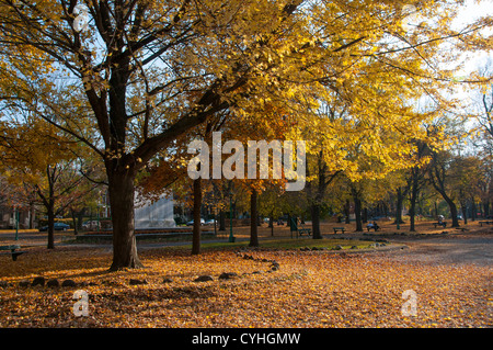 Park Outremont in Outremont Montreal Canada Foto Stock
