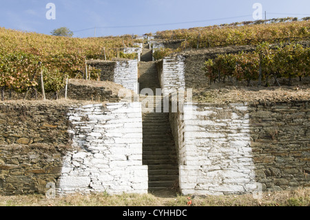 Quinta do Noval vigneti nella regione del Douro, il nord del Portogallo Foto Stock