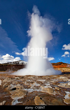 Geyser islandesi erutta, con cielo blu in background Foto Stock