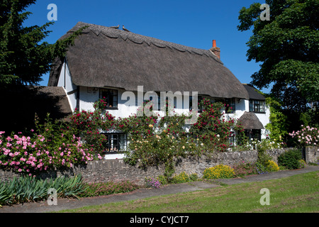 Piuttosto tipico inglese cottage con il tetto di paglia coperto in estate le rose, Oxford, Inghilterra Foto Stock