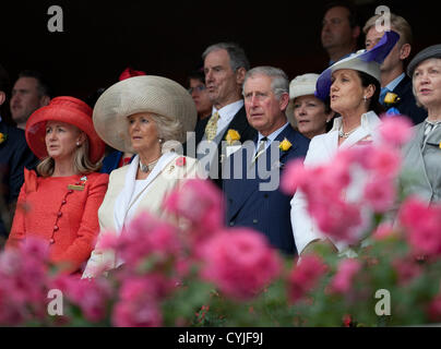 Il Principe di Galles e la duchessa di Cornovaglia frequentando il Melbourne Cup, Australia il 6 novembre 2012. Foto Stock