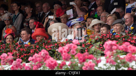 Il Principe di Galles e la duchessa di Cornovaglia frequentando il Melbourne Cup, Australia il 6 novembre 2012. Foto Stock