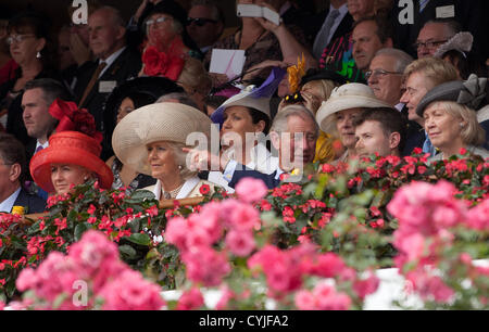 Il Principe di Galles e la duchessa di Cornovaglia frequentando il Melbourne Cup, Australia il 6 novembre 2012. Foto Stock