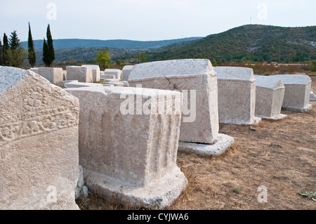 Lapidi medioevali Stecci alla necropoli Radimlja, vicino a Mostar, in Bosnia ed Erzegovina Foto Stock