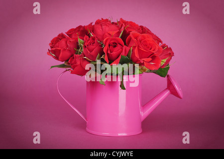 Bouquet di rose rosse in un rosa annaffiatoio su uno sfondo rosa Foto Stock