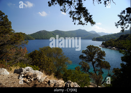 Croazia, Dalmazia, isola di Mljet, lago Veliko Jezero Foto Stock