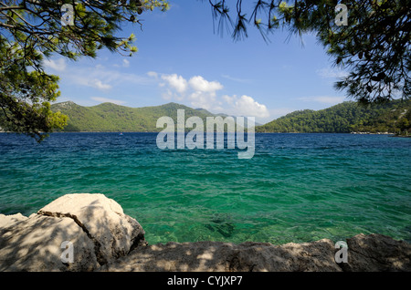 Croazia, Dalmazia, isola di Mljet, lago Veliko Jezero Foto Stock