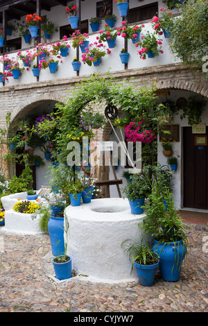Tradizionale cortile andaluso con ben, piante e fiori a Cordoba, Spagna. Foto Stock