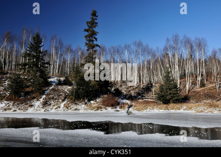 Una spolverata di neve lungo la riva del torrente di giunzione, maggiore Sudbury, Ontario, Canada Foto Stock