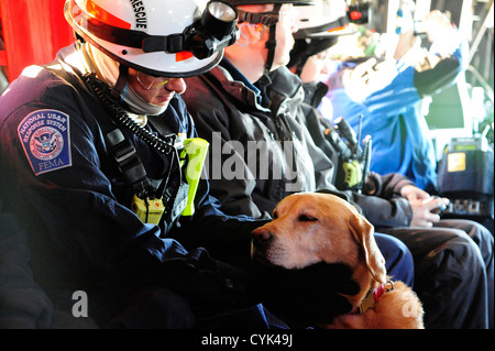 BASE COMUNE MCGUIRE-DIX-LAKEHURST, N.J. - Dominic Dipietco, uno specialista con il Maryland ricerca e salvataggio in aree urbane Task Force, animali domestici cani ricerca Jed a bordo di una U.S. Esercito CH-47 elicottero assegnato alla Georgia Esercito nazionale di protezione su un volo da base comune M Foto Stock