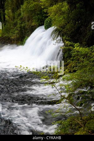 Il Cile. Sud America. Cascate a Ojos del Caburga, alimentate da sorgenti svuotamento Lago Caburgua. Distretto dei Laghi. Regione Araucania Foto Stock