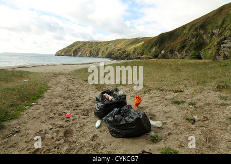 Cucciolata sparsi sulla spiaggia, Cornwall, Regno Unito Foto Stock