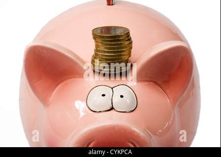 Un salvataggio di suino con monete in euro tra i suoi orecchi Foto Stock