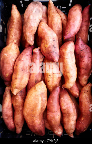 In prossimità della cassa di patate dolci Foto Stock