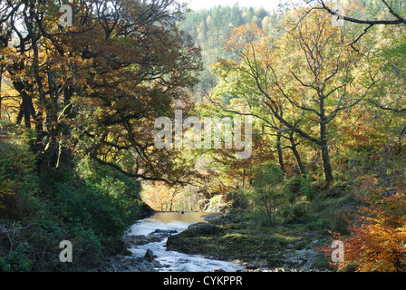 River Mawddach in autunno, il Parco Nazionale di Snowdonia, Wales, Regno Unito Foto Stock