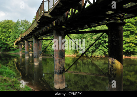 Penallt viadotto. Il Vecchio Ponte Ferroviario sul fiume Wye a Redbrook Foto Stock