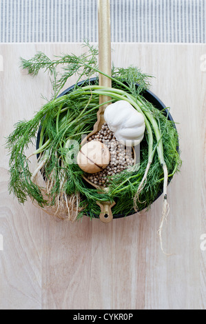 Aglio aneto gli steli e i semi Foto Stock