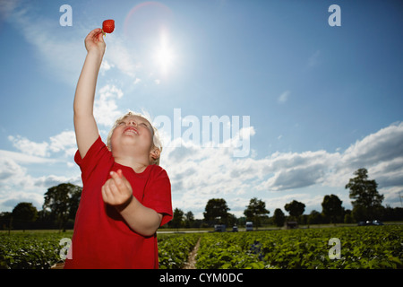 Ragazzo holding fragola nel campo Foto Stock