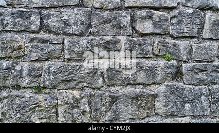 Un muro di pietra. Foto Stock