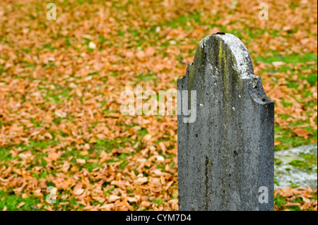 An old tombstone on a cemetery in the autumn Foto Stock
