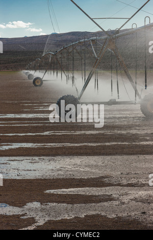 Irrigatori irrigazione campo di irrigazione Foto Stock