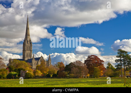 Vista autunnale della guglia della Cattedrale medioevale di Salisbury, Wiltshire, Inghilterra, Regno Unito. Versione Mono a CYMFTD Foto Stock