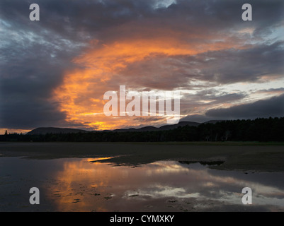 Drammatico tramonto sul tidal flats al laghetto di salmone, Loch Fleet, Sutherland, Scozia Foto Stock