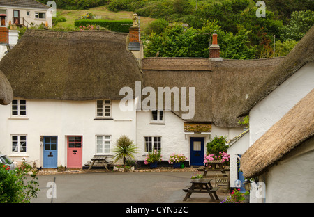Cottage con il tetto di paglia, Speranza, Devon, Regno Unito Foto Stock
