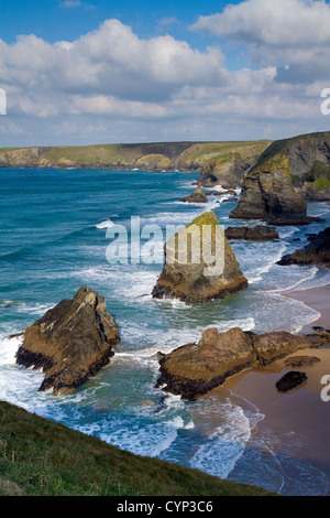 Carnewas e Bedruthan Steps Cornovaglia costa tra Padstow e in Newquay Cornwall Inghilterra REGNO UNITO Foto Stock