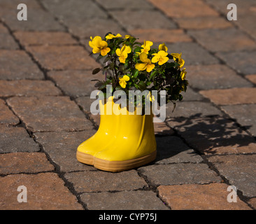 Vaso giallo Pansy, stivali da pioggia in miniatura vaso primavera vaso fiore piantatore giallo Pansies in pentole bouquet su blocchi patio in New Jersey, USA, fs8,71 Foto Stock