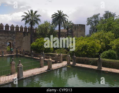 Giardini di Alcázar de los Reyes Cristianos a Cordoba Spagna, dominato da alberi di fiori di piscine e fontane Foto Stock