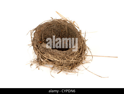 Svuotare bird nest su sfondo bianco Foto Stock