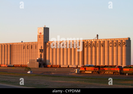 BNSF convoglio ferroviario di fronte all'Agri produttori Chicco Corp elevatori della granella a Plainview, Texas, Stati Uniti d'America. Foto Stock