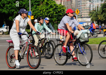 I ciclisti sulla Reforma uno portando un cane di piccola taglia nel cestello sul manubrio di bicicletta ispano americana America latina Latino singolo Foto Stock