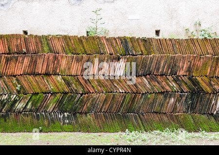 Monastero di Santa Clara e rovine della chiesa Antigua Guatemala // ANTIGUA, Guatemala - le rovine del monastero e della chiesa di Santa Clara sono un silenzioso testamento della storia coloniale. La facciata ornata e le pareti sbriciolate, adagiate su uno sfondo di vegetazione lussureggiante e vulcani lontani, esemplificano l'architettura barocca e le sfide sismiche che caratterizzano il paesaggio urbano di Antigua, Patrimonio dell'Umanità dell'UNESCO. Foto Stock