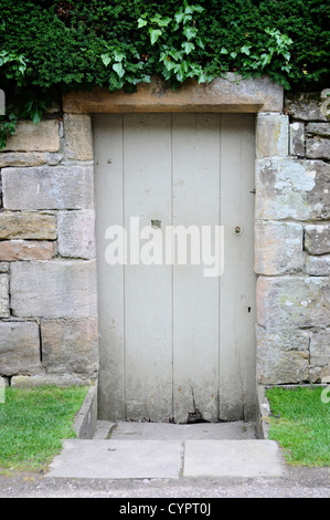 Belli indossati porta vecchia in una grande parete in mattoni con edera rampicante in alto Foto Stock