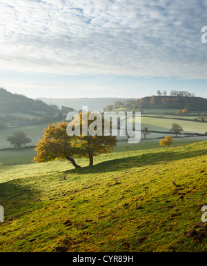 Cotswold campagna autunnale. Gloucestershire. In Inghilterra. Regno Unito. Foto Stock