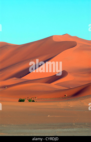 dune, deserto del Sahara, erg Chebbi, Merzouga, Marocco Foto Stock