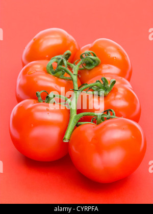 Pomodori freschi su rosso Foto Stock