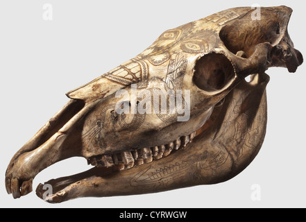 Cranio a cavallo inciso, circa 1900 cranio completamente conservato, su tutti i lati decorato, con mandibola inferiore. La cima scolpita con bassorilievi a forma di volto umano stilizzato con denti arroccati, sormontato da un ulik Uma, una casa comune tradizionale, circondato da serpenti incisi. I lati della mascella inferiore sono anche incisi con raffigurazioni di uomini e coccodrilli. Il cranio leggermente patinato, lievi segni di età. Lunghezza 48 cm. Teschi di animale scolpito sono stati attaccati all'esterno della casa per tenere lontano gli spiriti malvagi, storici, 1900, 20 ° secolo, 19 ° secolo, i, diritti aggiuntivi-clearences-non disponibile Foto Stock