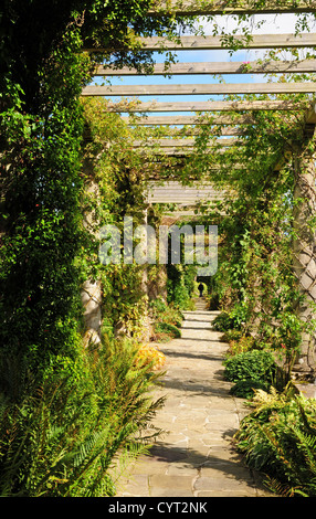 Guardando verso Est lungo la pergola in autunno, West Dean Gardens. Foto Stock