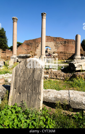 Basilica Aemilia nel Foro Romano - Roma, Italia Foto Stock