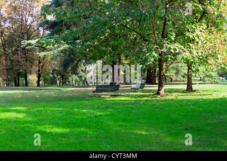Panche sotto gli alberi nel Parco Sempione in autunno, Milano, Italia, Europa. Foto Stock