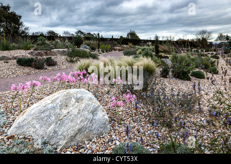 Nuova parte del Dry Garden presso RHS Hyde Hall, dedicata alla coltivazione e alla visualizzazione di piante e fiori resistenti alla siccità Foto Stock