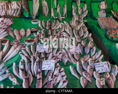 Mattina mercato del pesce di Kumkapi Istanbul Turchia, pesce fresco direttamente fuori le barche Foto Stock