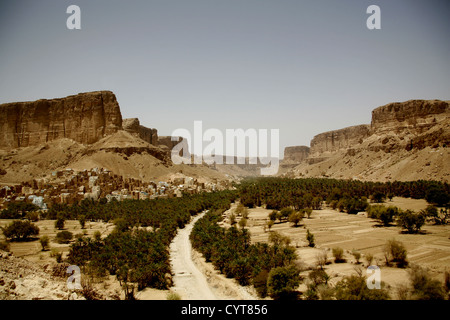 Vista di Wadi Doan, Hadramaut, Yemen Foto Stock