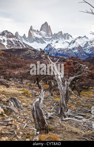 Una vista del monte Fitz Roy in Patagonia, Argentina Foto Stock