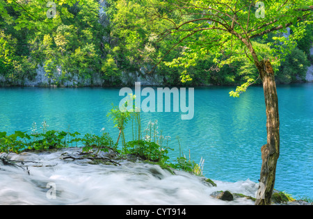 Il Parco Nazionale dei Laghi di Plitvice, Croazia, paesaggio Foto Stock