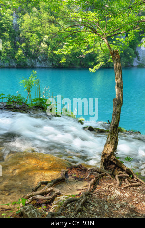 Il Parco Nazionale dei Laghi di Plitvice, Croazia, paesaggio Foto Stock