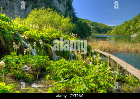 Il Parco Nazionale dei Laghi di Plitvice, cascate, Croazia Foto Stock